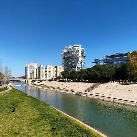 Sauret : Havre De Paix En Ville : Spacieux Et Confortable Montpellier