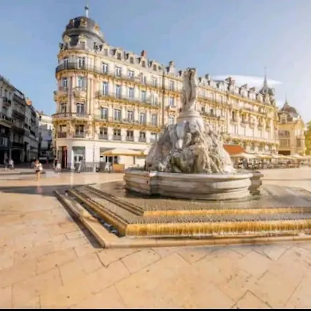 Sauret : Havre De Paix En Ville : Spacieux Et Confortable Apartment