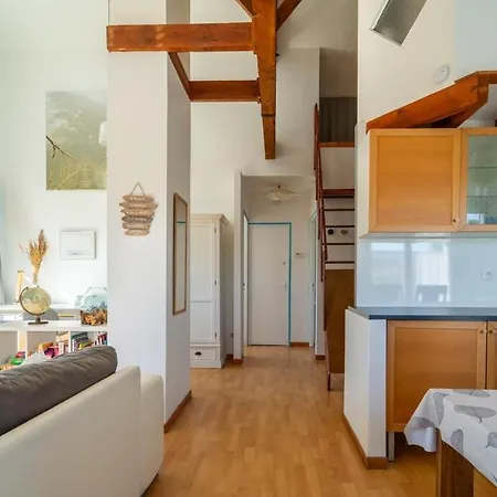 Sauret : Havre De Paix En Ville : Spacieux Et Confortable Montpellier