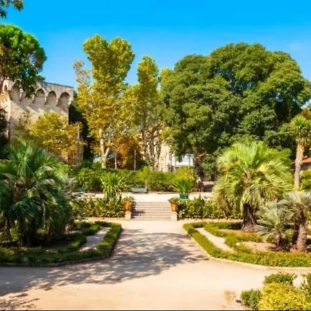 Apartment Sauret : Havre De Paix En Ville : Spacieux Et Confortable Montpellier