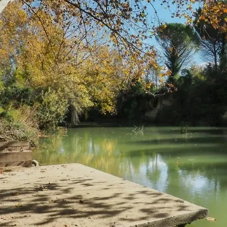 Apartment Sauret : Havre De Paix En Ville : Spacieux Et Confortable Montpellier